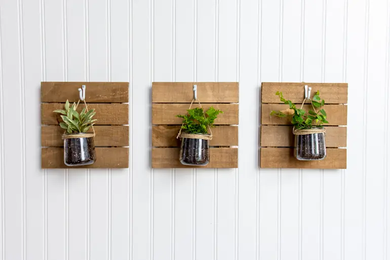 Three Oui by Yoplait yogurt jars hanging from a wall with various succulents in them.