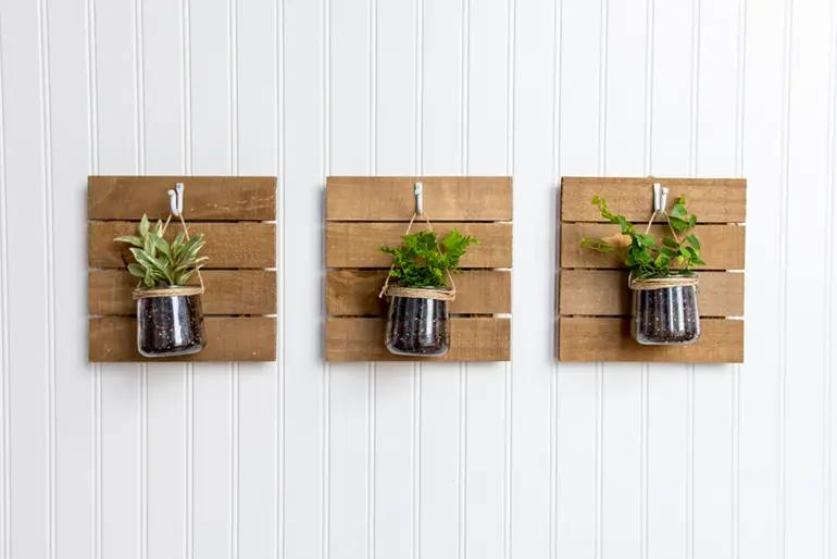 Three Oui by Yoplait yogurt jars hanging from a wall with various succulents in them.