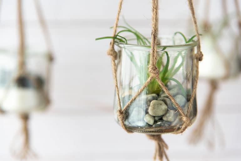 Macrame planter holding a glass Oui by Yoplait yogurt jar with an air plant inside.